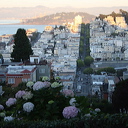 261_sf