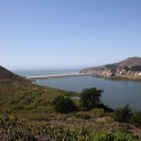295_sf