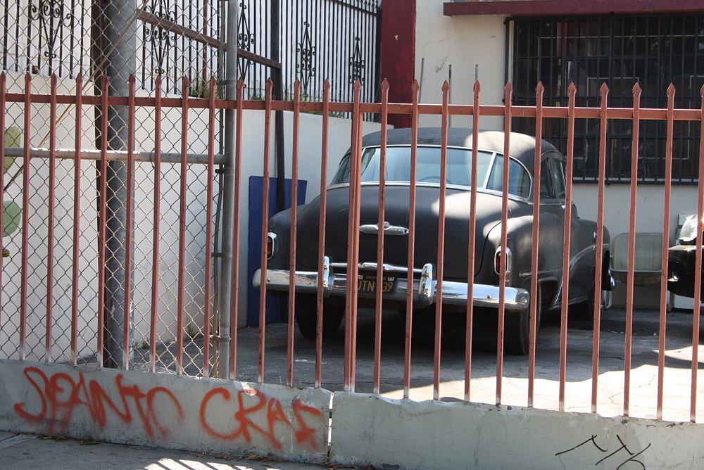 049_la.jpg