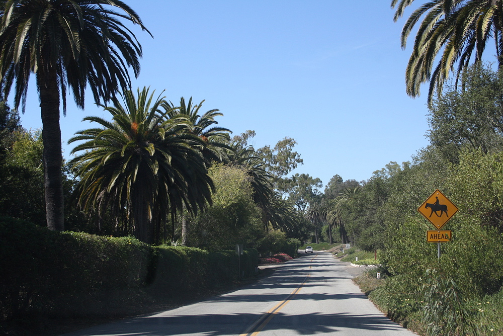 104_la.jpg