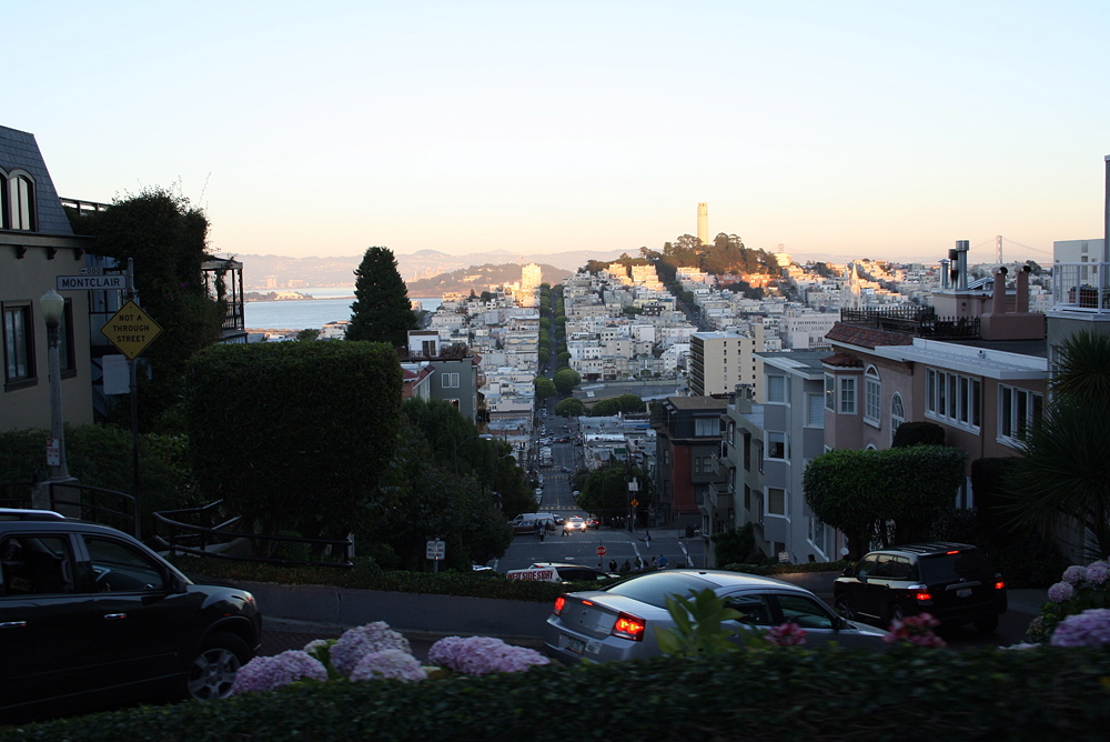 262_sf.jpg