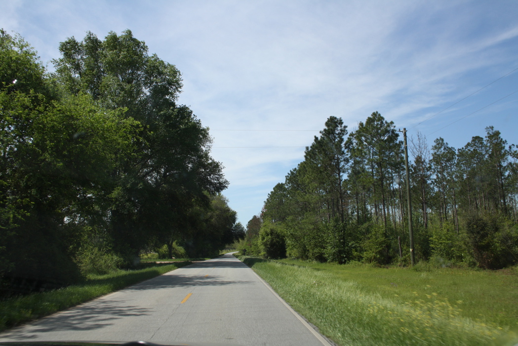 241_way_to_fl.jpg