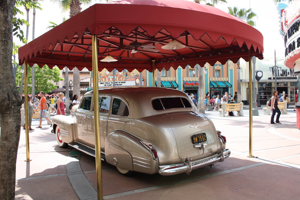 437_disney_orlando_fl.jpg